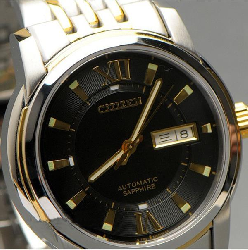 Đồng hồ Citizen NH-8338