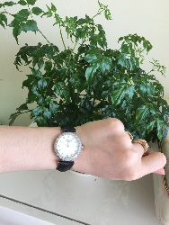 Đồng hồ Longines nữ L4.635.8