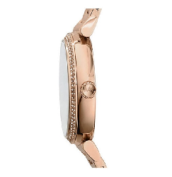 Đồng hồ nữ Michael Kors Catlin MK3356