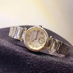 Đồng hồ nữ Michael Kors Skylar MK5971